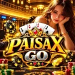 Paisa X Go